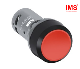 Nút nhấn của công tắc CP1-10R-01