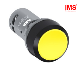 Nút nhấn của công tắc CP1-10Y-11