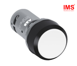 Nút nhấn của công tắc CP1-10W-10