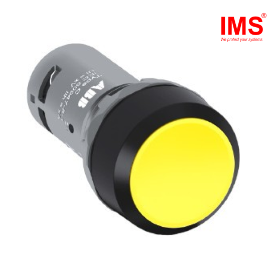 Nút nhấn của công tắc CP1-10Y-11