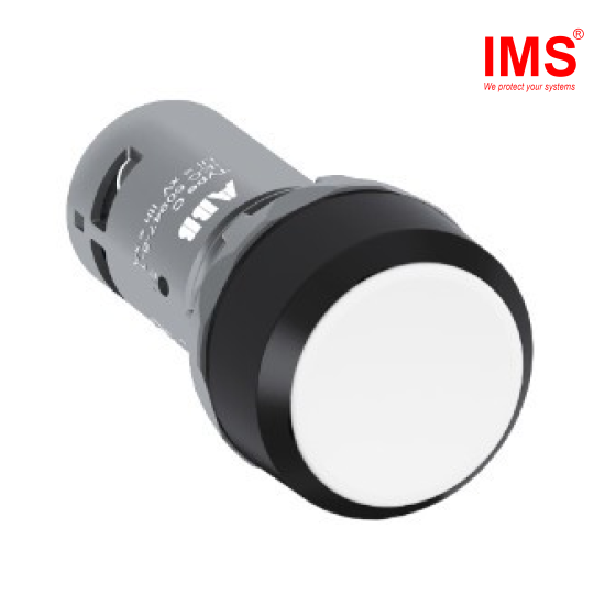 Nút nhấn của công tắc CP1-10W-10