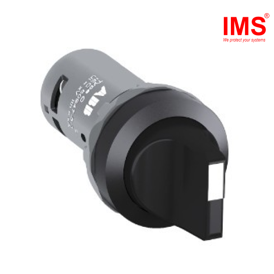 Công tắc chuyển mạch vặn tay ngắn loại C2SS2-10B-10